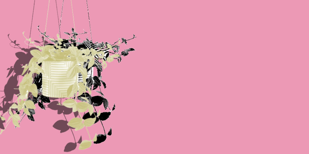 Abstract graphic of hanging planter