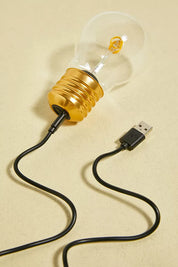 Cordless Lightbulb Light