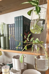 Glass Hanging Wide Test Tube | 19cm