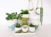 Avery Dot Planter with Legs - Teal