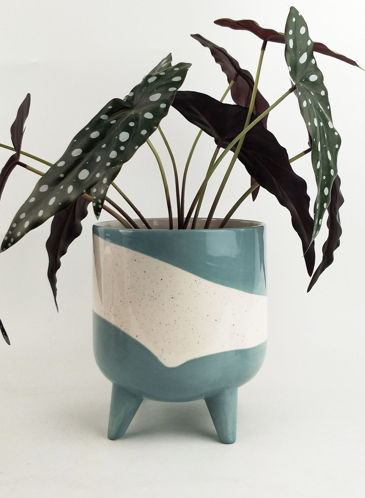 Avery Dot Planter with Legs - Teal