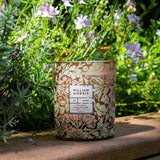 William Morris At Home Kitchen Garden Candle | Sunlit Tomato