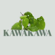 Ina Rawa Hand Cream | Kawakawa, Argan Oil & Jojoba Oil