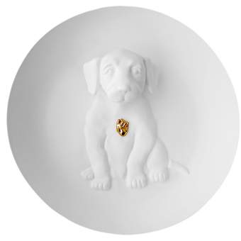 Radar Dog Wall Plate | White