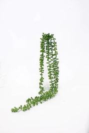 Flower Systems String of Tears