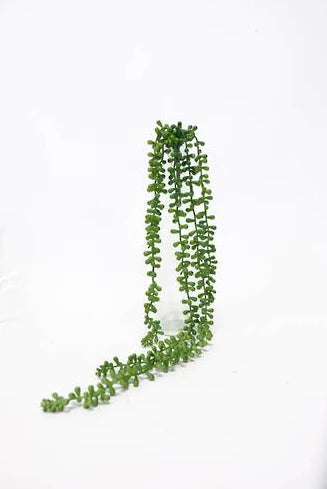 Flower Systems String of Tears