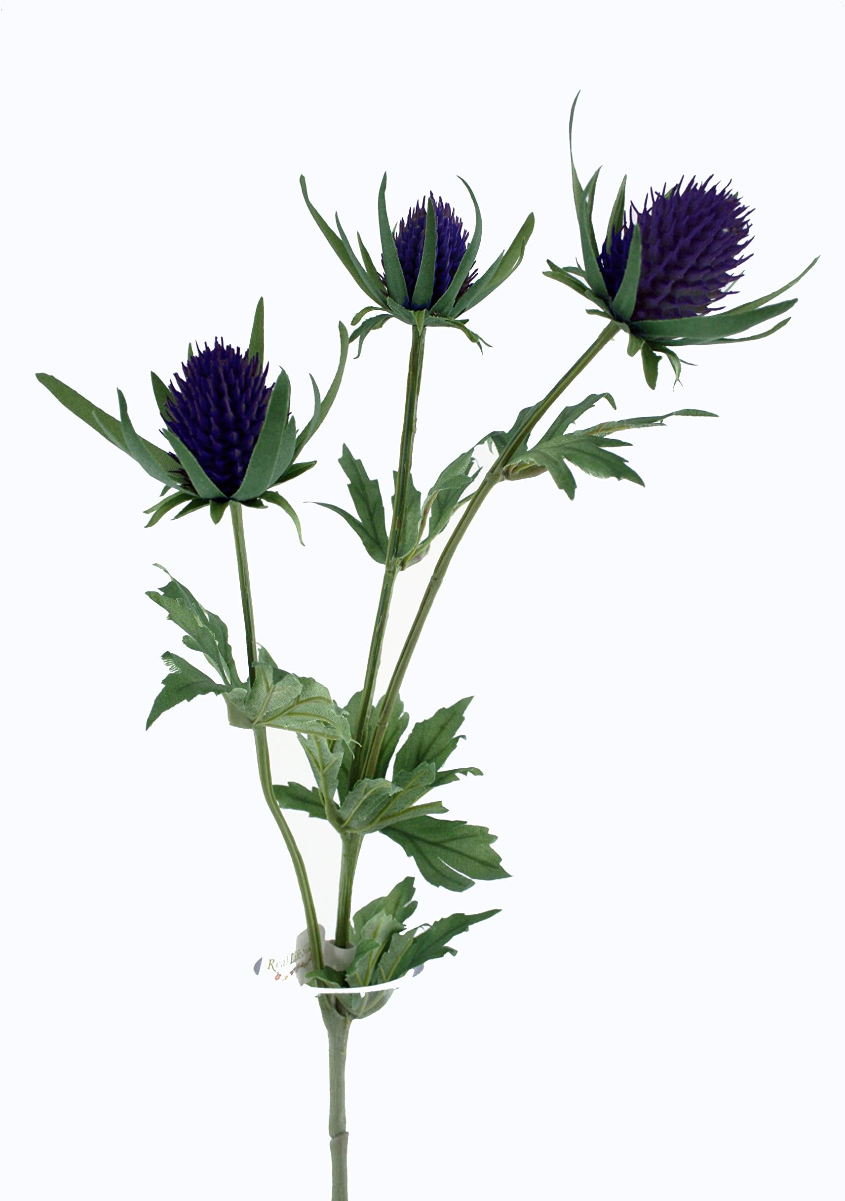 Alisons Acquisitions Winter Thistle | Violet