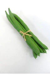 Flower Systems Green Bean Bundle