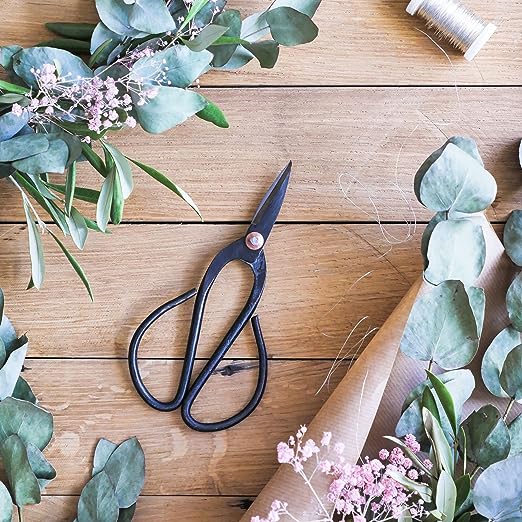 Parnell Bonsai Shears - Large