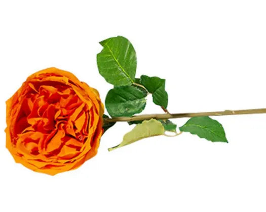 RML Artificial Peony Rose Orange