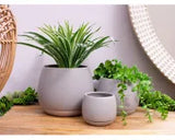 Addie Round Ceramic Pot & Saucer | Light Grey16.5cm