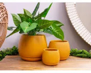 Addie Planter & Saucer | Mustard