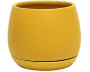 Addie Planter & Saucer | Mustard