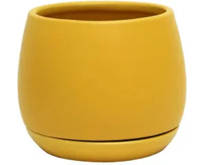 Addie Planter & Saucer | Mustard