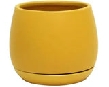 Addie Planter & Saucer | Mustard