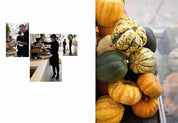 Plenty | Yotam Ottolenghi