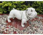 Bull Dog Statue | Fibre Clay
