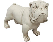 Bull Dog Statue | Fibre Clay
