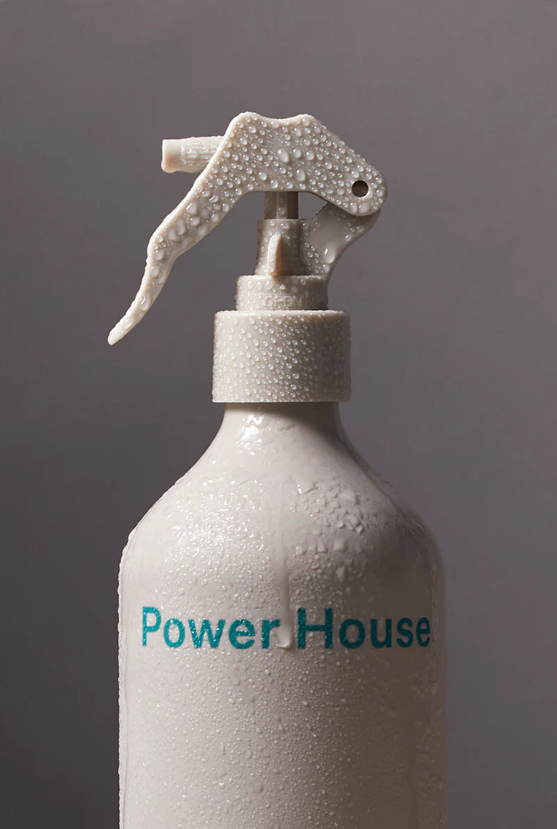 Ashley & Co Power House Room Mist | Tui & Kahili