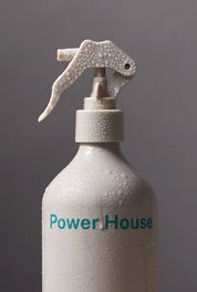 Ashley & Co Power House Room Mist | Tui & Kahili