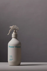 Ashley & Co Power House Room Mist | Tui & Kahili