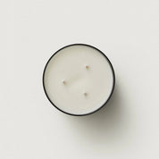 Ashley & Co Waxed Perfume | Tui & Kahili XL