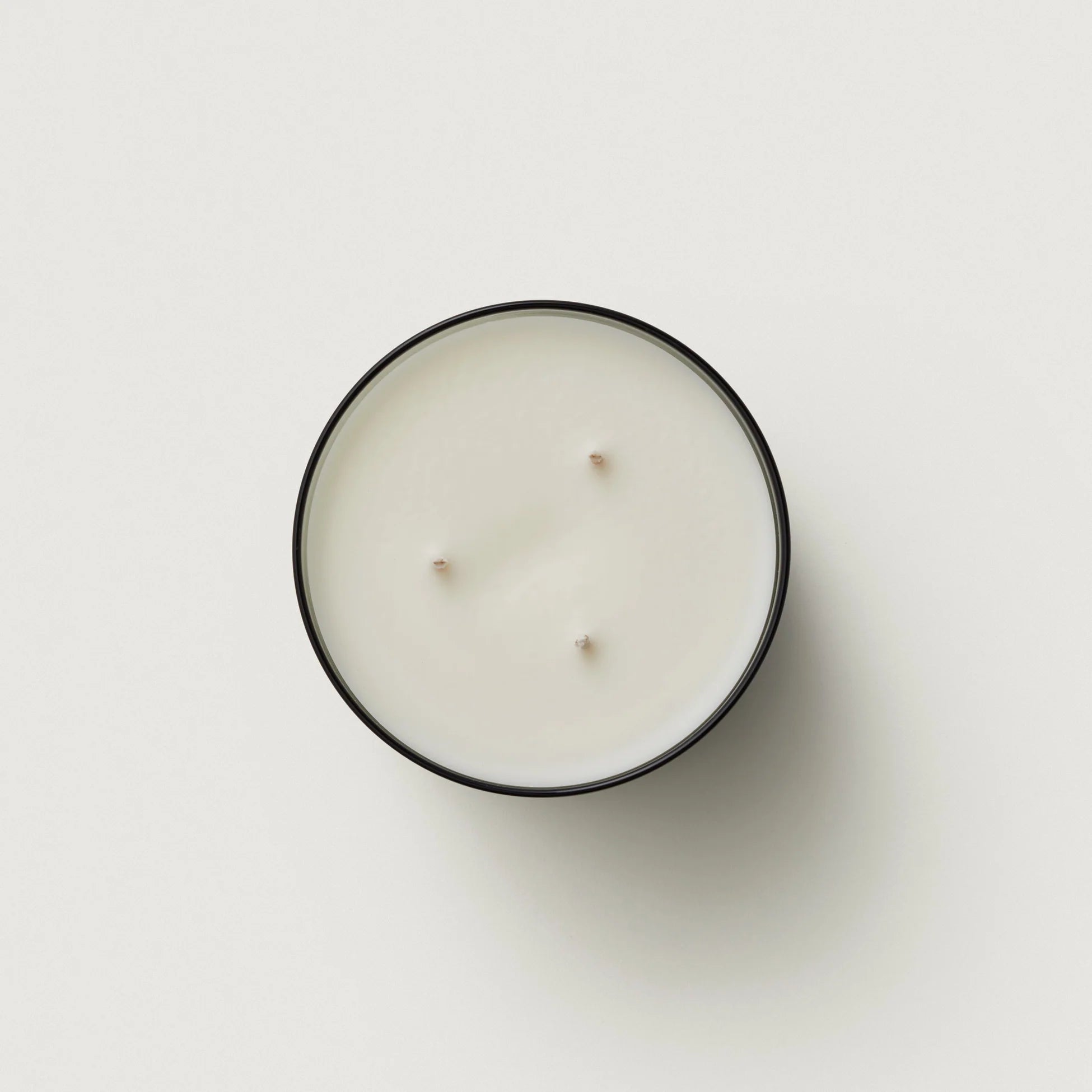 Ashley & Co Waxed Perfume | Tui & Kahili XL