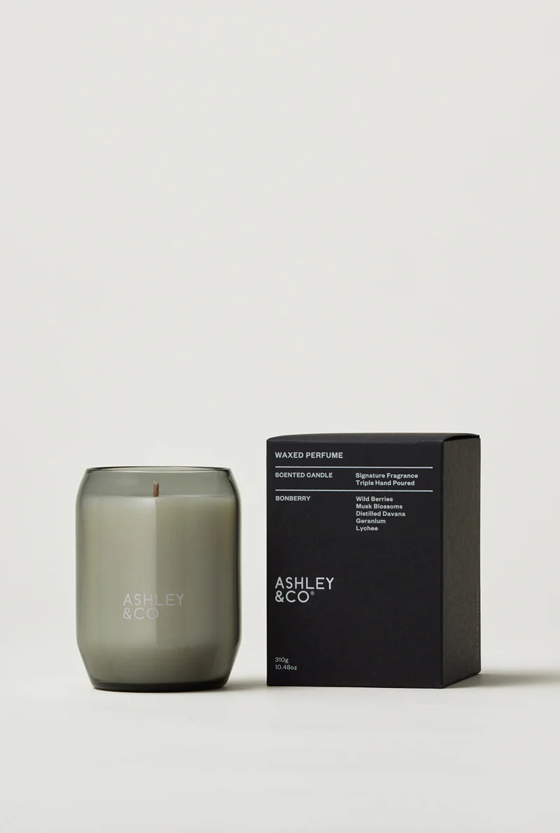 Ashley & Co Waxed Perfume Candle | Bonberry
