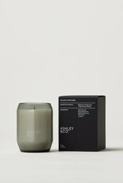 Ashley & Co Waxed Perfume Candle | Bonberry