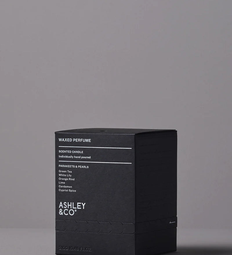 AC22_WPPPBOX_Web_1.webp