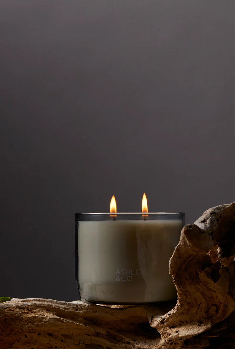 Ashley & Co Waxed Perfume | Tui & Kahili XL