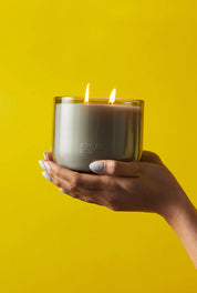 Ashley & Co Waxed Perfume | Tui & Kahili XL