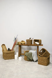 Briar Large Rectangle Baskets | 3 Sizes