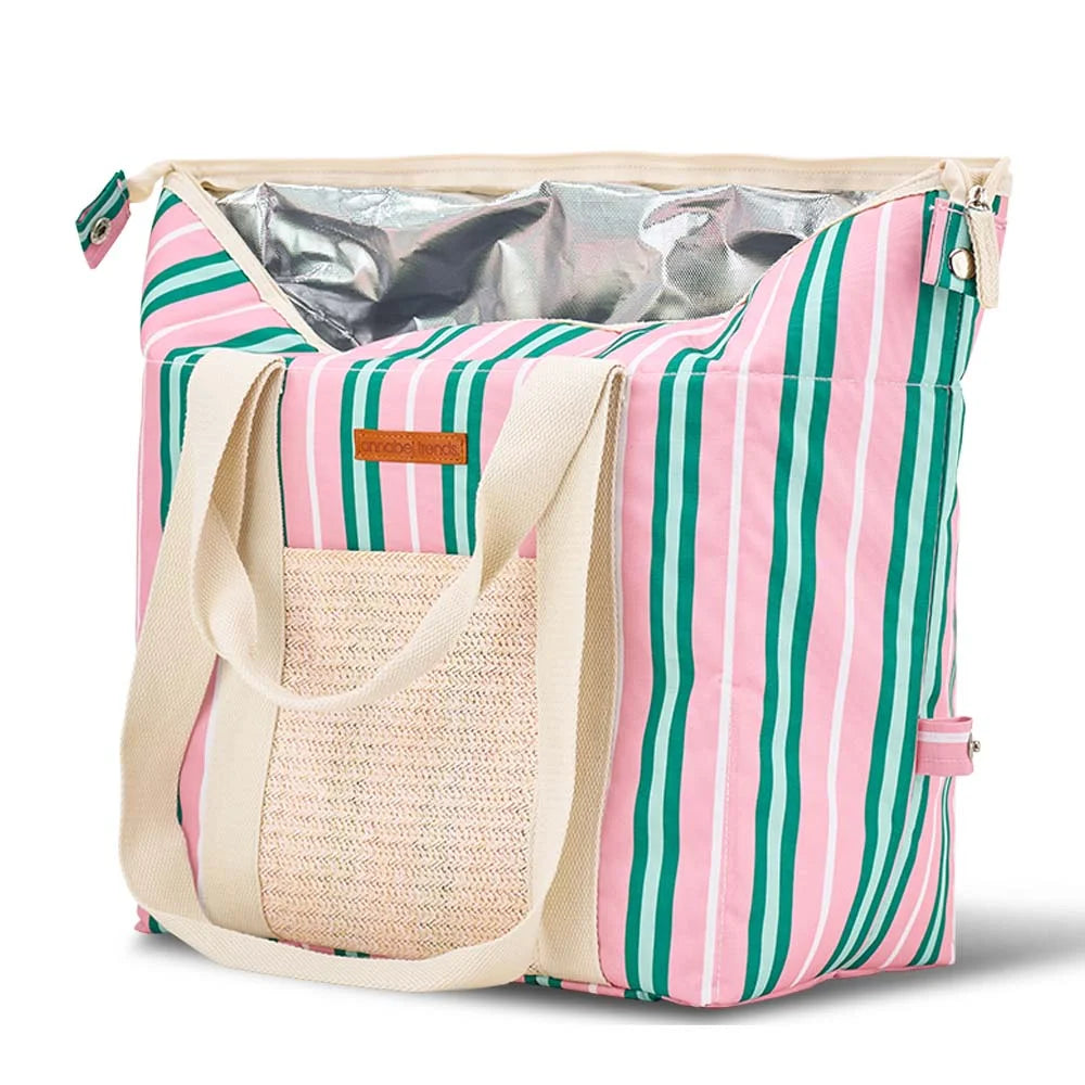 Picnic Cooler Box Bag | Pink & Green Stripe
