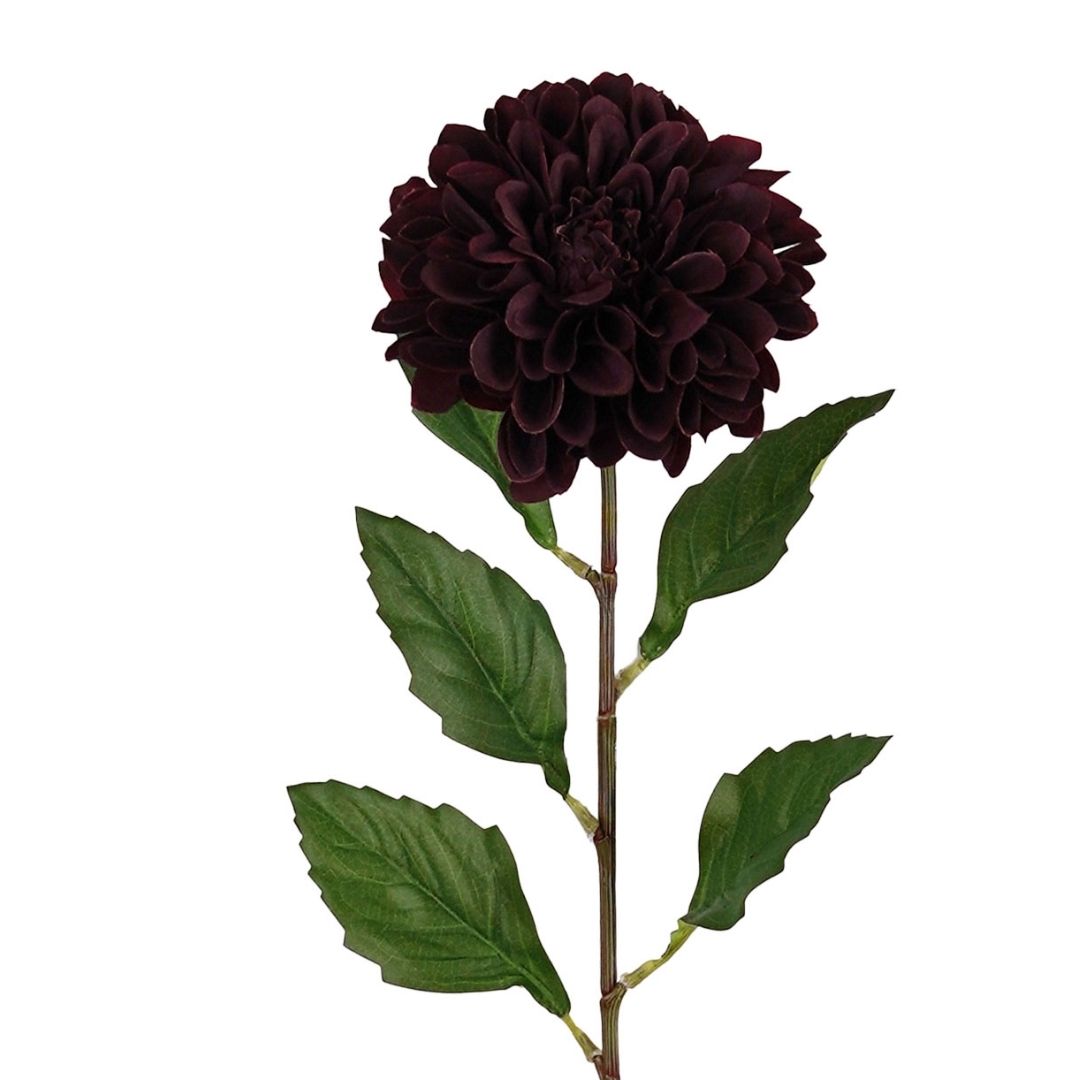 Alisons Acquisitions Tall Dahlia | Wine