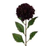 Alisons Acquisitions Tall Dahlia | Wine