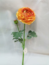 Alisons Acquisitions Large Ranunculus With Bud | Orange