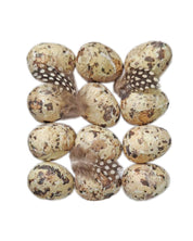 Alisons Acquisitions Artificial Birds Eggs | 12Pk
