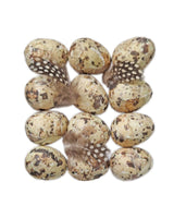 Alisons Acquisitions Artificial Birds Eggs | 12Pk