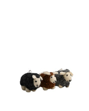 Woolburn Flock Of 3 Sheep | Mixed