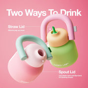 Chako Lab Linlin Kettle Stainless Drink Bottle | Pink Mint Green