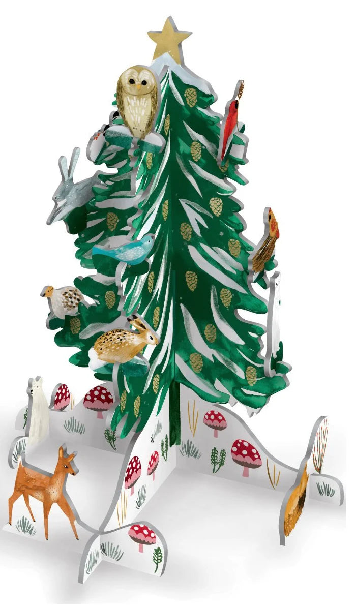 Petite Pop & Slot Advent Calender | Christmas Conifer