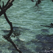 Dear Marge Scarf | Coromandel Moments