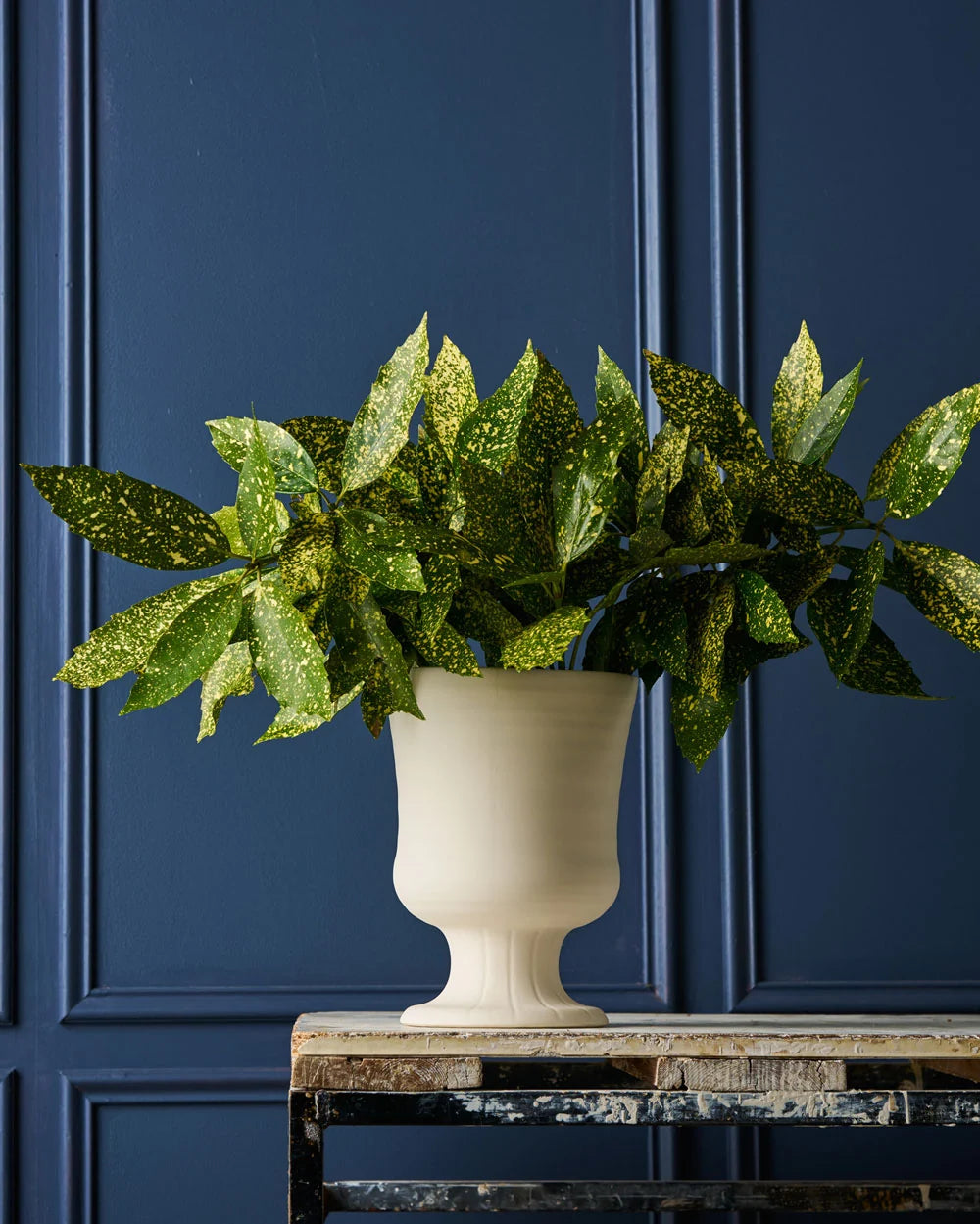 Robert Gordon Trophy Life Devon Vase | White