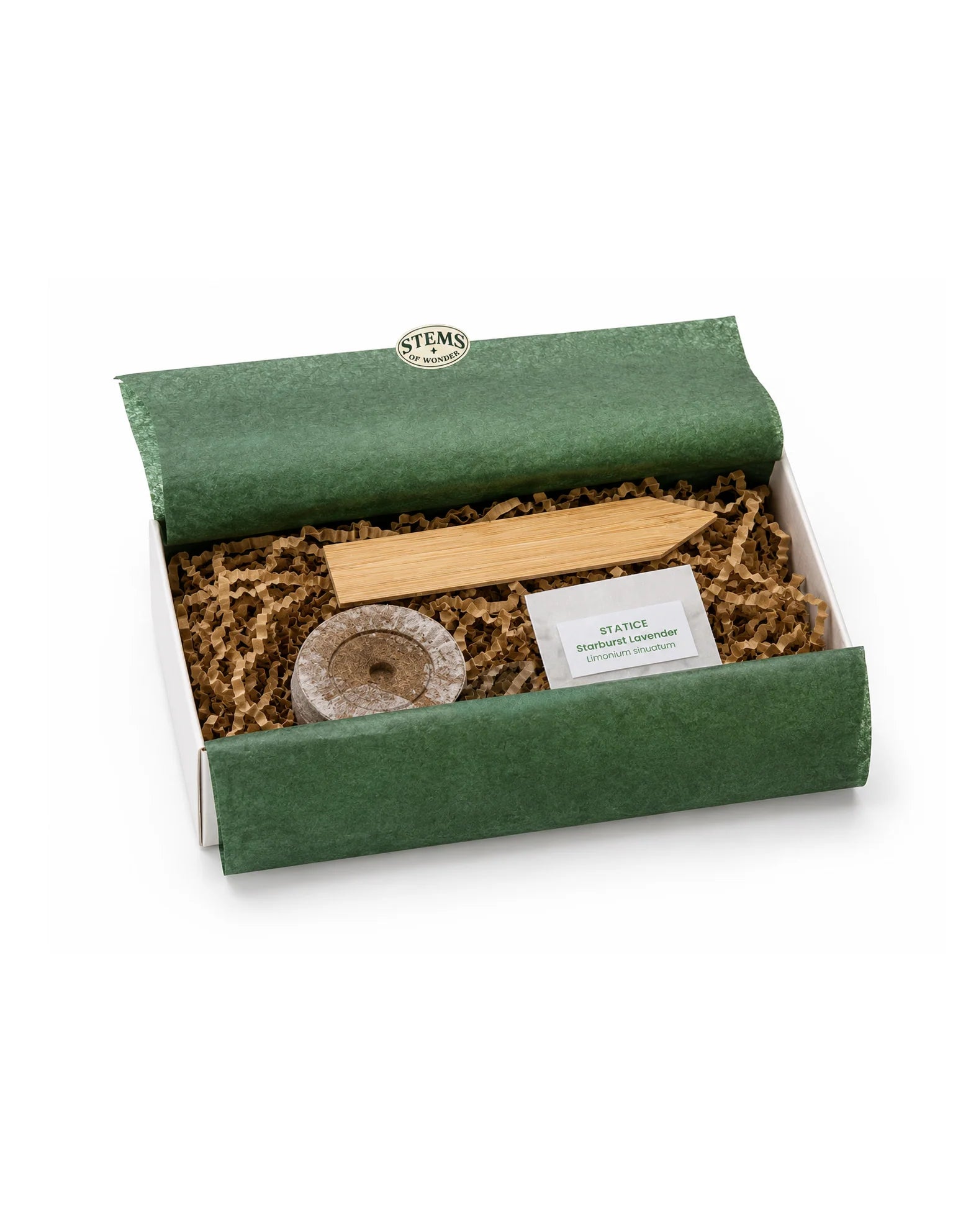 Everyday Wonders Personality-inspired Seed Gifts | Amaranth