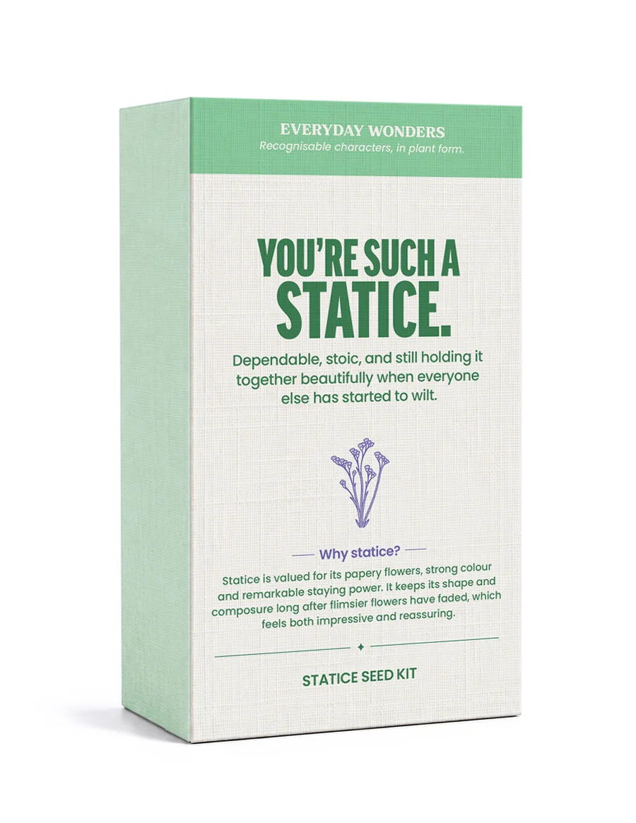 Everyday Wonders Personality-inspired Seed Gifts | Statice