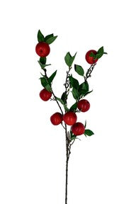 Alisons Acquisitions Apple Sprig | Red