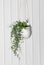 Porcelain Hanging Pot |  White