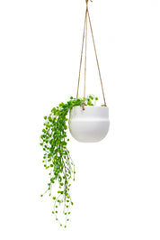 Porcelain Hanging Pot |  White