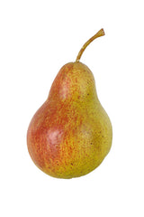 Flower System Pear | Red Green